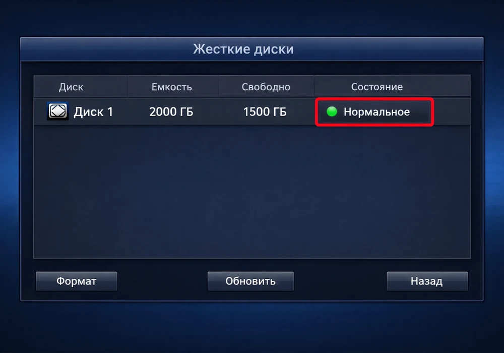 Как проверить жесткий диск (hdd) в видеорегистраторе, не вынимая его 2 Скриншот меню видеорегистратора, где отображается статус жесткого диска как «нормальное»